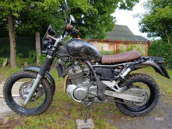 Suzuki XF 650 Freewind - 7