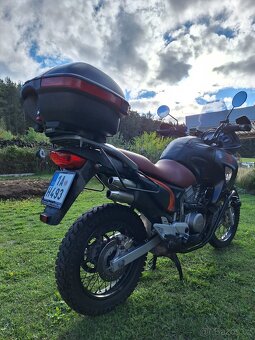 Honda Transal XL650V - 7