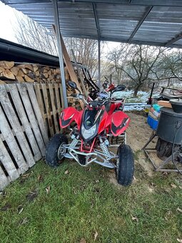 prodám Access Warrior 450 - 7