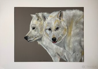 Obraz Strážci Arktiky, pastel - 7