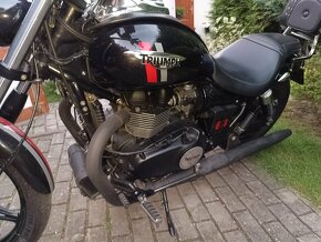 Triumph speedmaster - 7