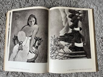 Kniha:MISTŘI EVROPSKÉHO MALÍŘSTVÍ. - 7