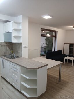 Byt (ateliér)3+kk 58,5 m2 k pronájmu - 7