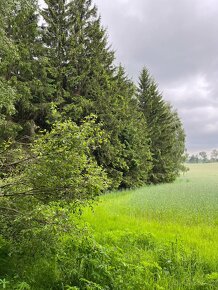 Les 176 427 m2 v České Kanadě - 7