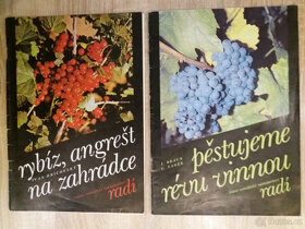 Knihy 2 - 7