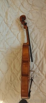 Viola 41 s pouzdrem - 7