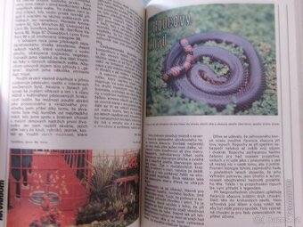 Magazín Akvárium terárium. - 7
