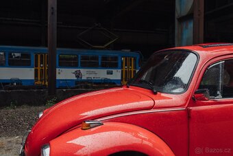 Volkswagen Brouk 1973 - 7