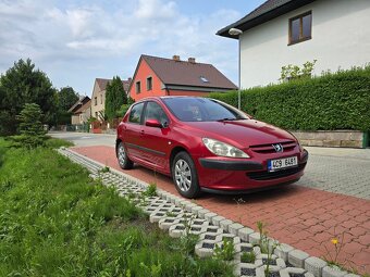 Peugeot 307 1.6 benzin2003 - 7