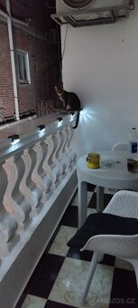 Hurghada pronájem bytu - 7