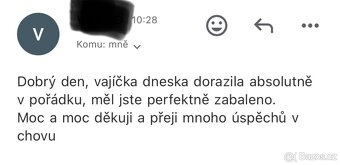 NV zdrobnělá vlaška zlatě zbarvená - 7