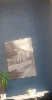 Tmavěmodrá vinylová tapeta - 1 role - 7