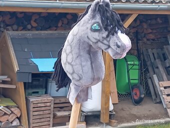 Hobby horse - 7