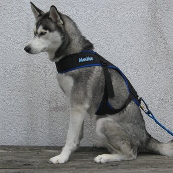 ManMat - Postroj Merhi long - 7