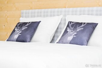 Prodej rodinného domu se 3 apartmány, 210 m2, Harrachov - 7