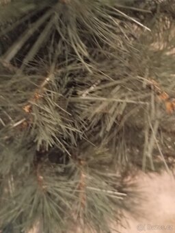 nový vánoční stromek 100cm - 7