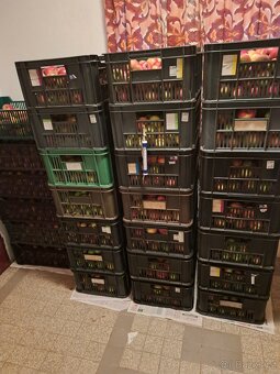 Nabídka jablek, ořechů a dřeva - 7