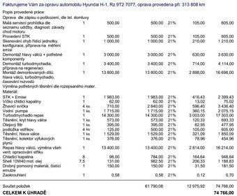 Hyundai H1 - 7