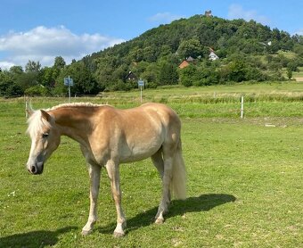 hafling valášek 2,5 roku - 7