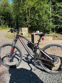 Canyon nerve al 8.9 - 7