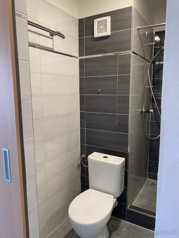 Pronajmu byt 1+1 ve Veselí nad Moravou - 7