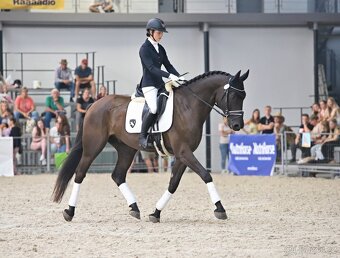 Sepík - stáj, kde se váš talent rozvine naplno - 7