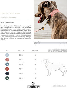 Kentucky - Obojek XL + vodítko - olive green - 7