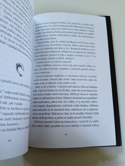Losos, který se odvážil vyskočit výš - 7