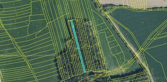 Prodám pozemky v k.ú. Hradiště u Domažlic - 7