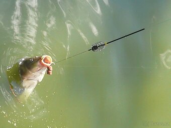 Česká Republika Bílé Karpaty Chata Popelka2 - 7