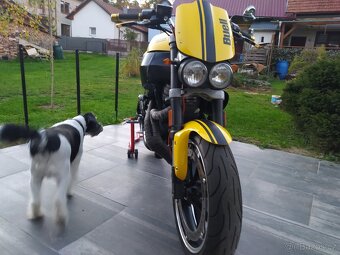 Buell XB9S - 7