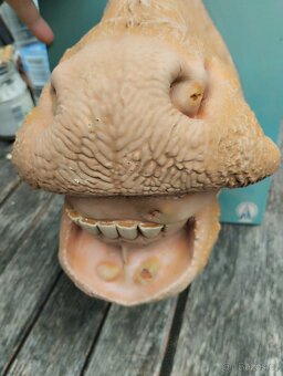 Anatomický model kravské tlamy - 7