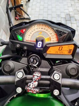 Kawasaki Z 300 - 7