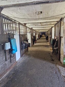 Ustájení koní Farma Sedlár - 7