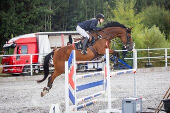 Top klisna do sportu - 7