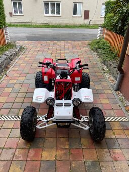 Yamaha yfz 350 BANSHEE - 7