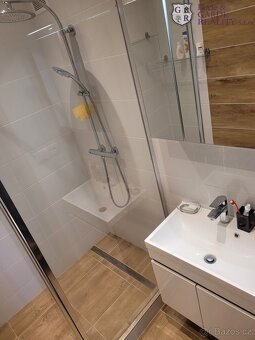 Pronájem, byt 3+kk, 59 m2, Tábor - Sídliště nad Lužnicí - 7