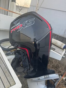 Merry Fisher Bela - 7