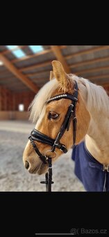 Pony B do drezury - 7