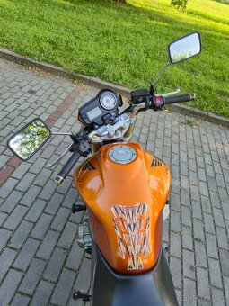 Honda Hornet CB 600F - 7