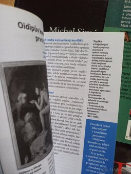 komiks Sigmund Freud Dobrodružství psychoanalýzy - 7