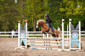 pony A - Vanilka - sen každé princezny - 7