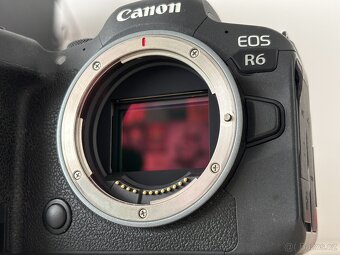 Canon EOS R6 + Smallrig Cage - 7