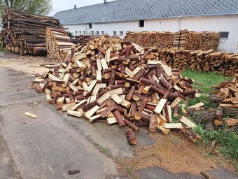 Palivové dřevo tvrdé a měkké - 7