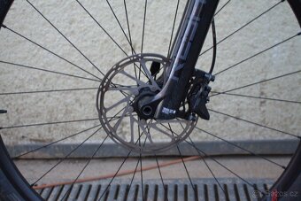 Duratec TORAIN C1 29" - 7