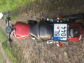 HARLEY Davidson sportster XLCA1200 - 7