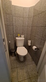 Pronájem bytu 1+kk, kousek do Václavského náměstí - 7