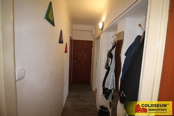 Podivín, byt 2+1, 70 m2, garáž, sklep, zahrada - byt - 7