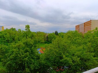 Pronájem bytu 1+1 36 m² Františka Hajdy, Ostrava - Hrabůvka - 7