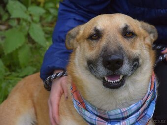 Odin hledá domov - 7